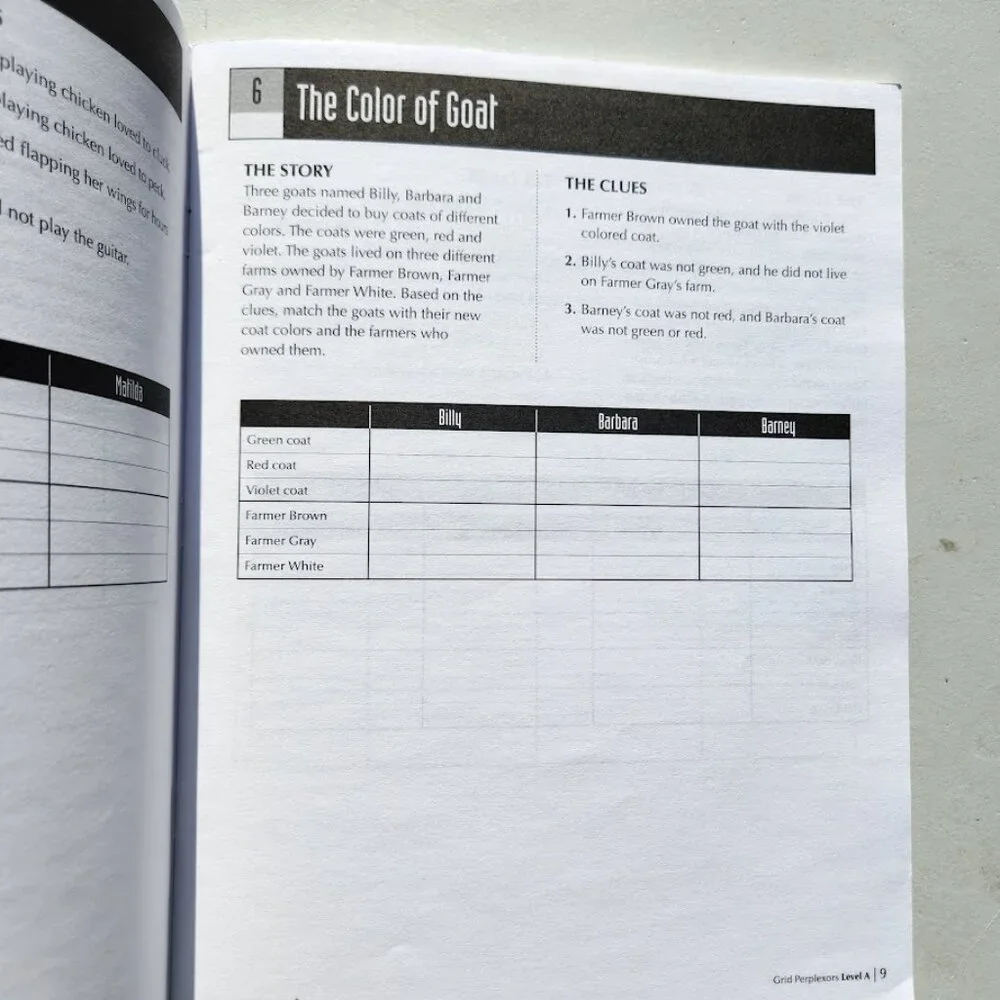 MindWare Grid Perplexors Level A Book Workbook Brain Teasers Puzzle Book Logic B